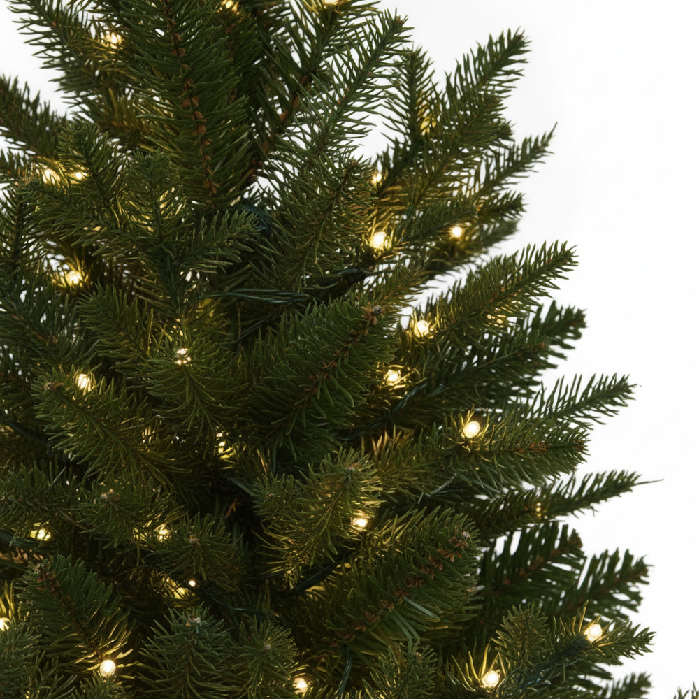 Potted Vail Valley Pine Christmas Tree