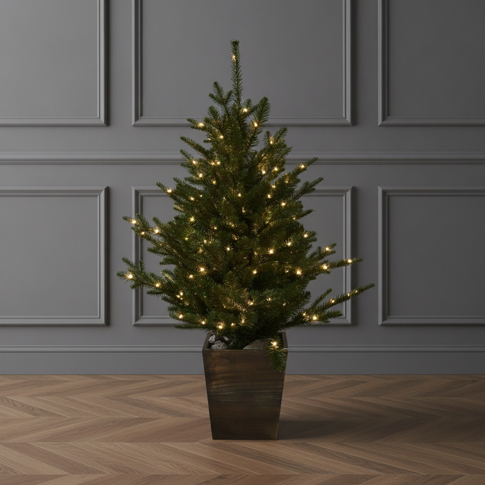 Potted Vail Valley Pine Christmas Tree