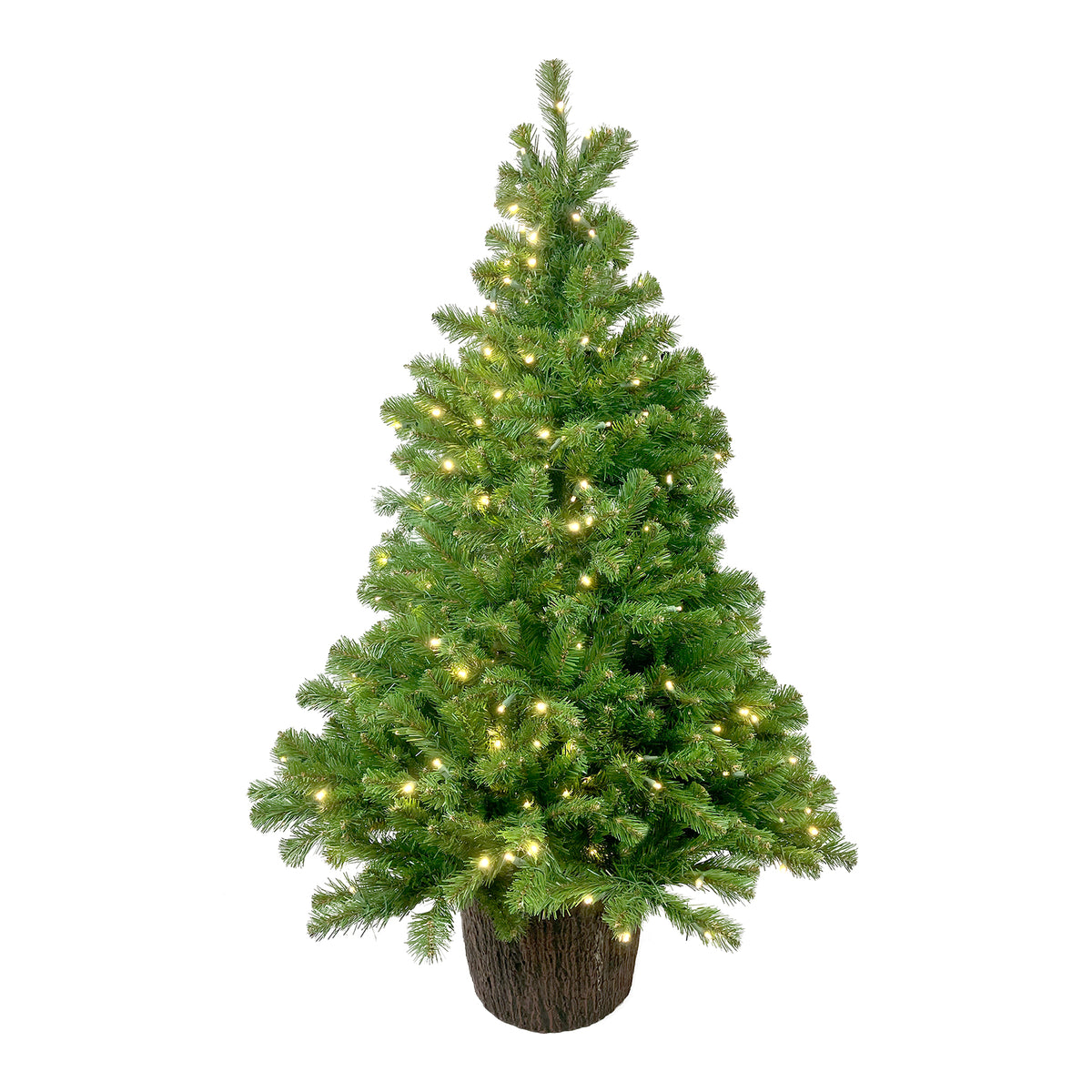 Olympia Pine Potted Christmas Tree