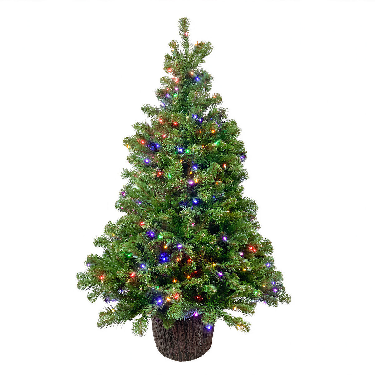 Olympia Pine Potted Christmas Tree