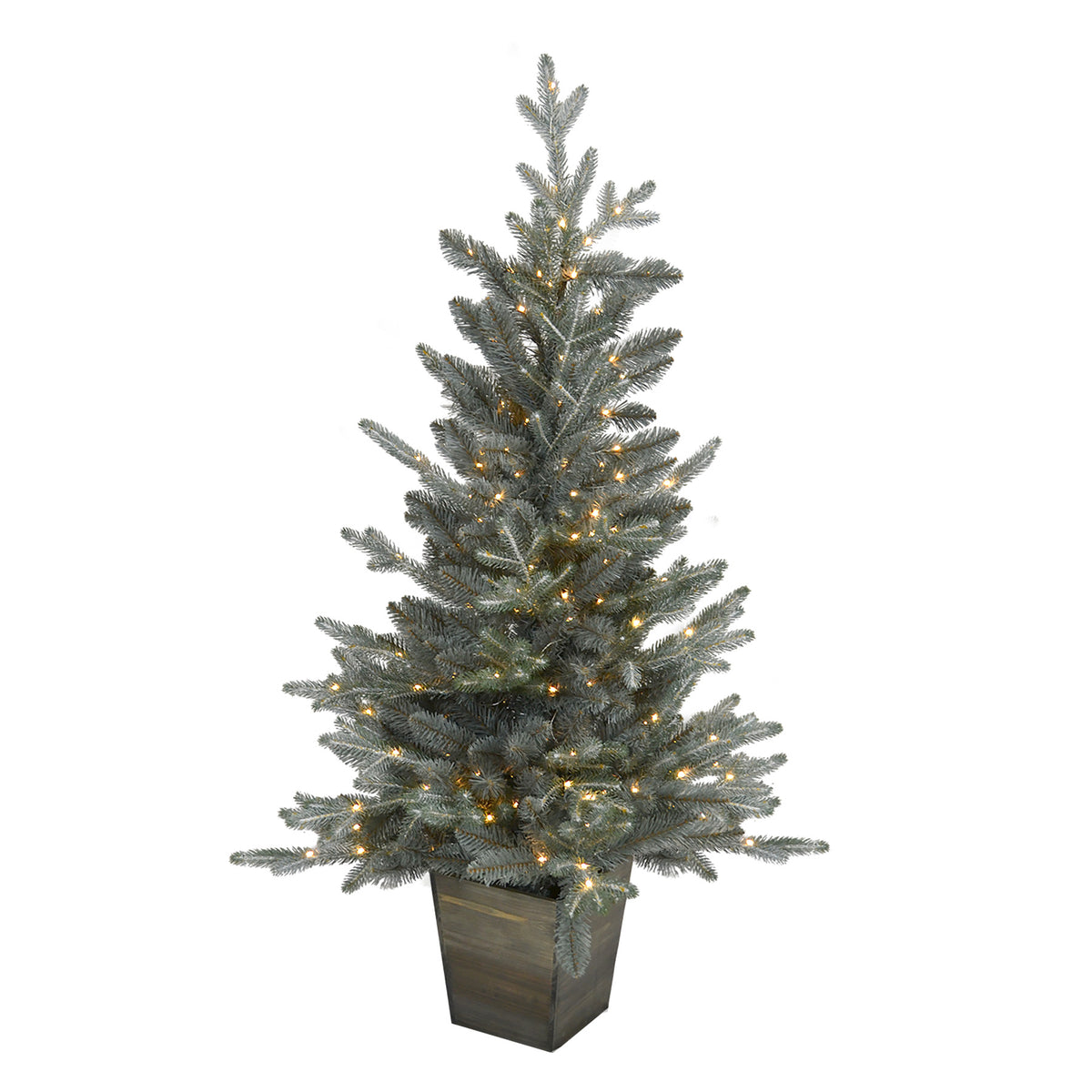 Silver White Pine Potted Christmas Tree