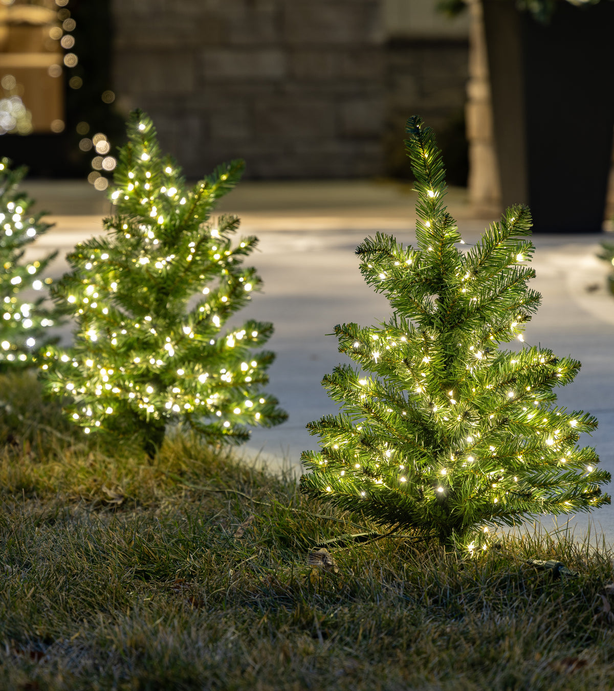 Walkway Cascade Christmas Trees