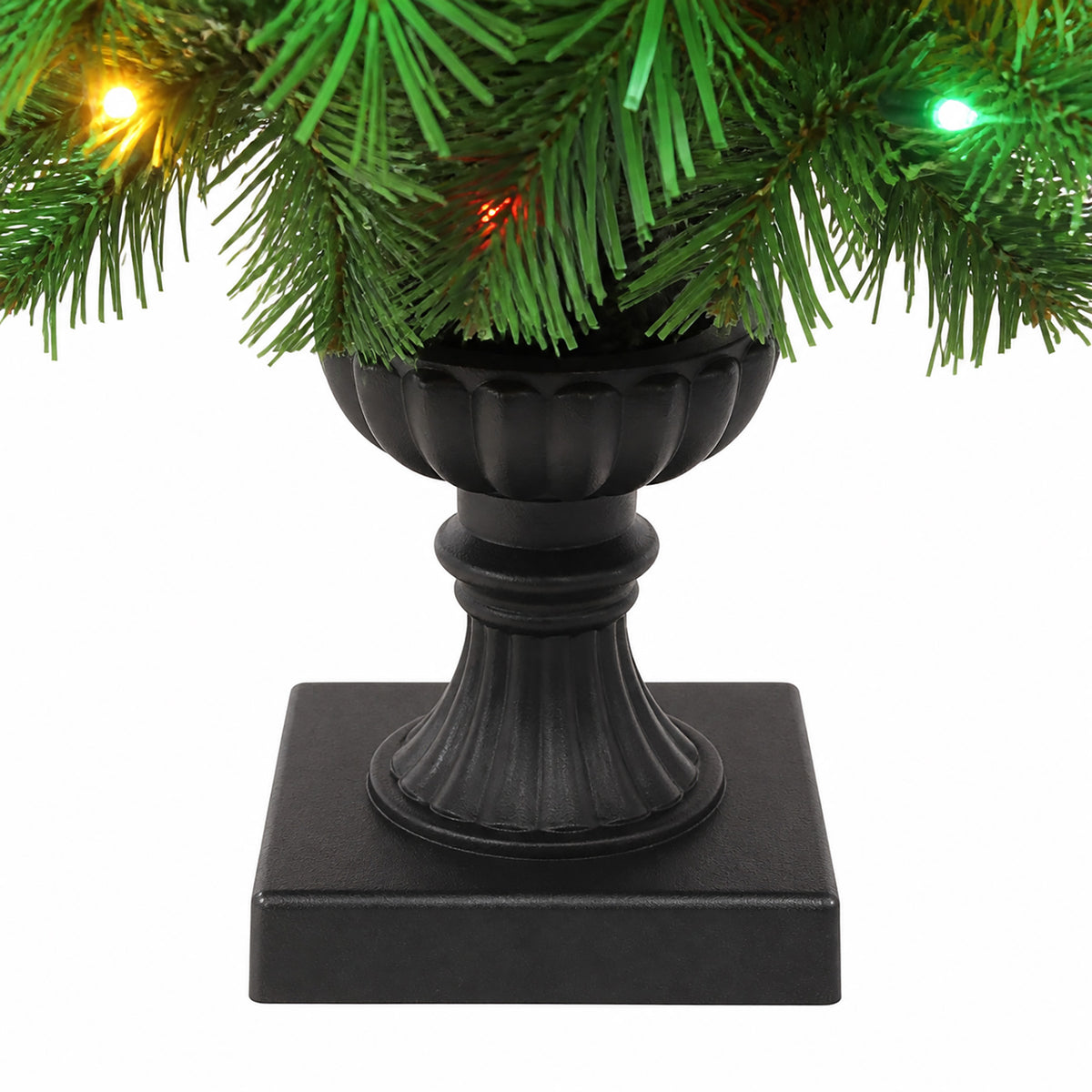 Douglas Fir Potted Christmas Tree