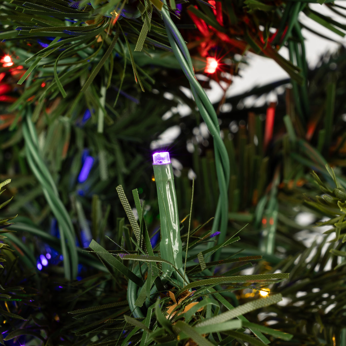 Pencil King Pine Christmas Tree