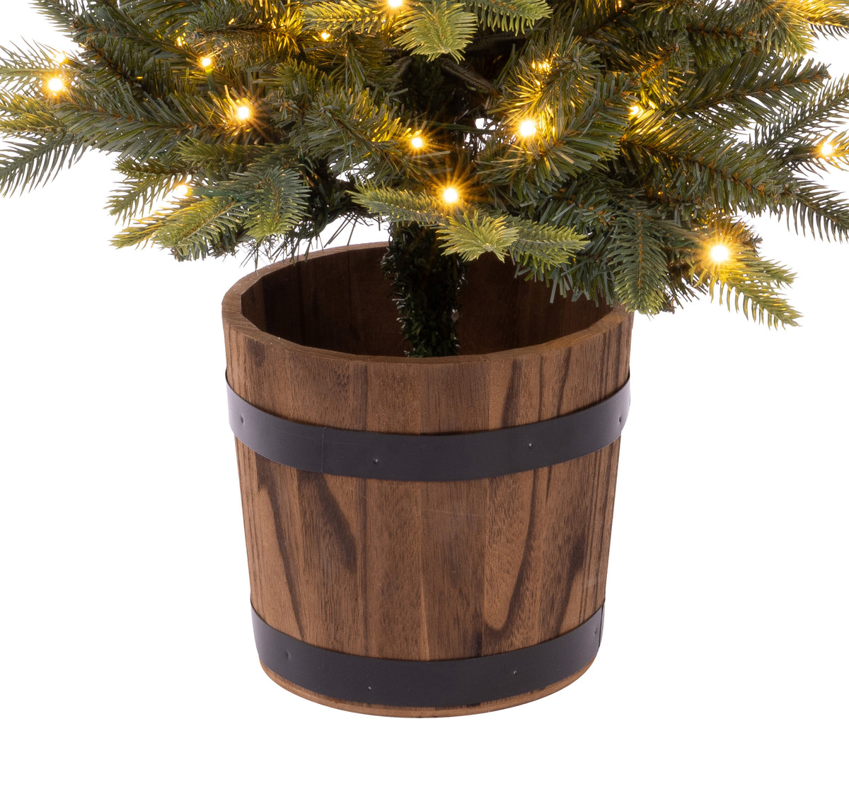 Monterey Potted Christmas Tree