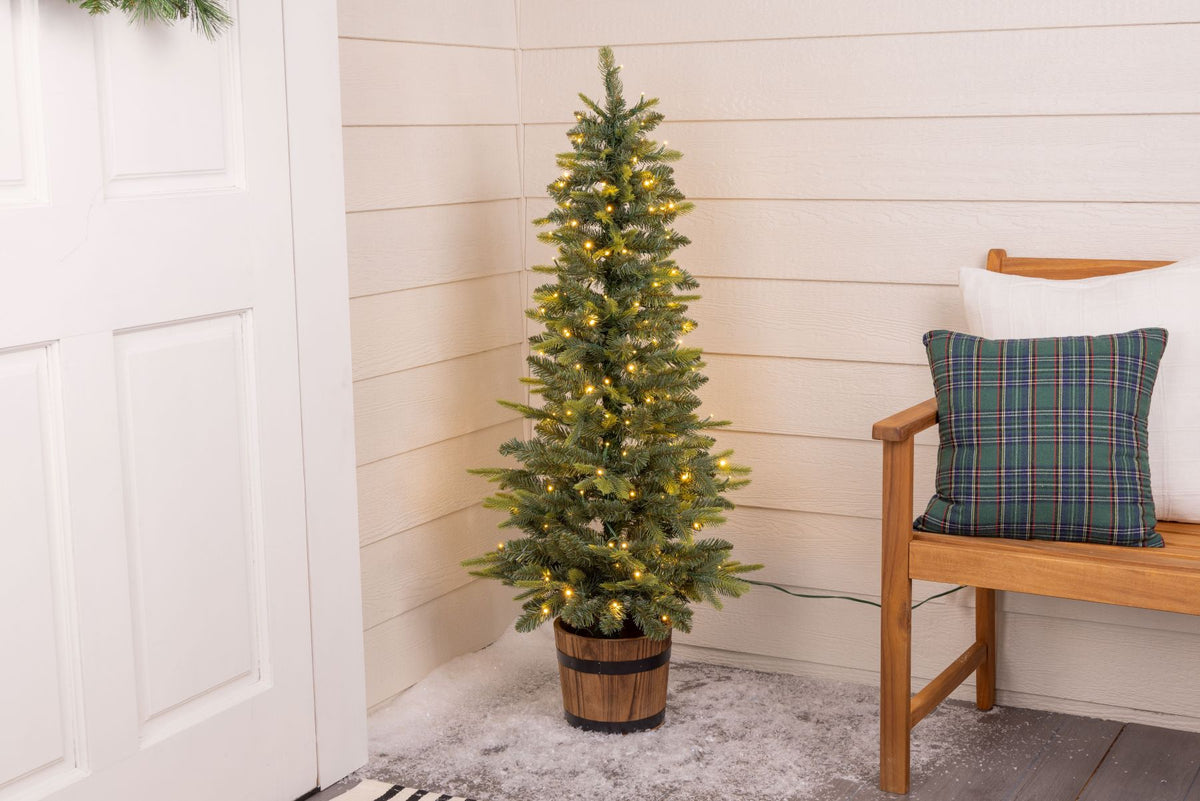 Monterey Potted Christmas Tree