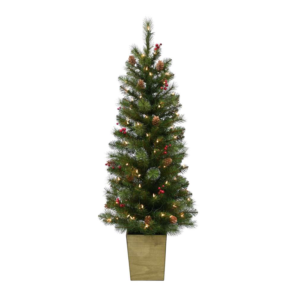 Mixed Pine Potted Christmas Tree