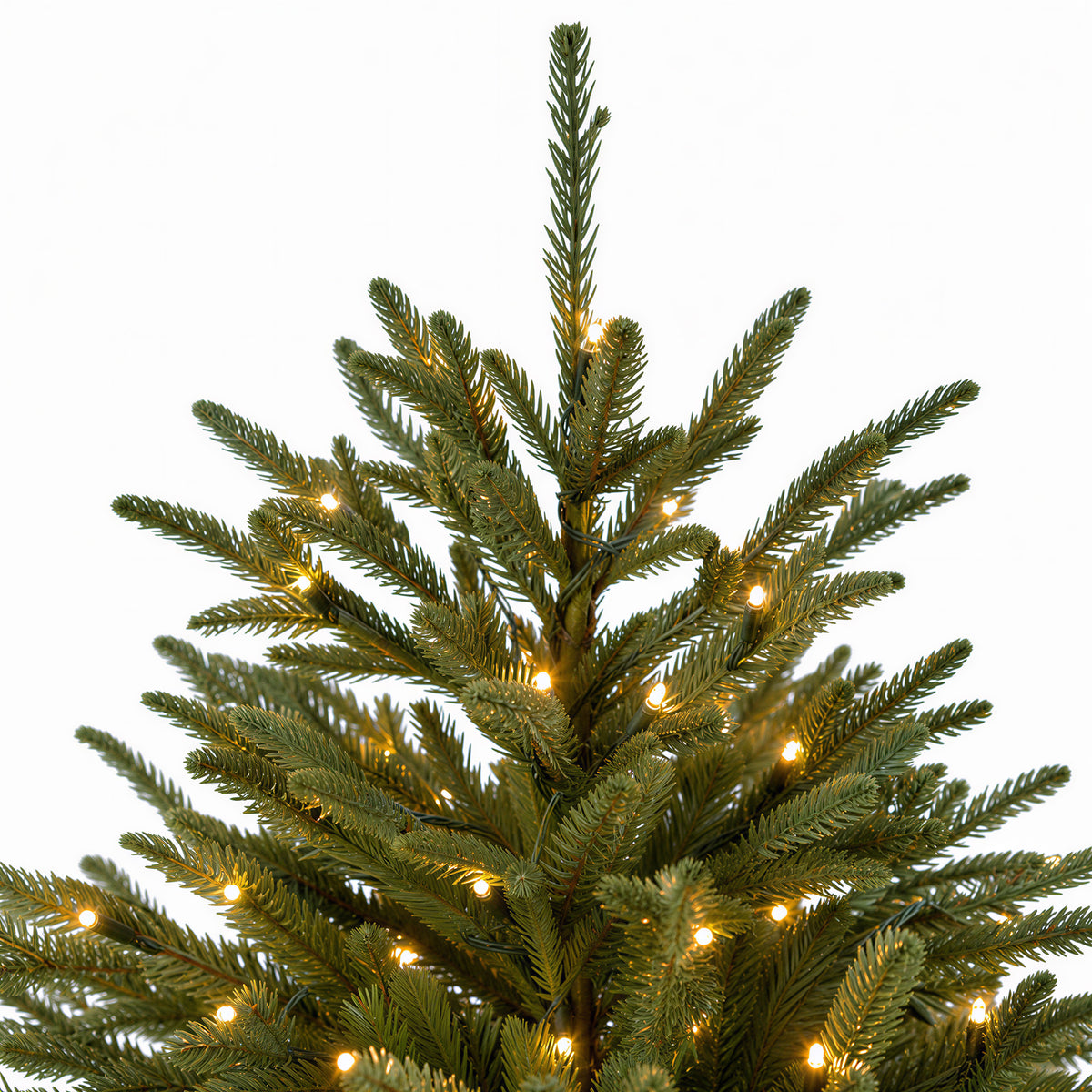 Grand Fraser Fir Christmas Tree