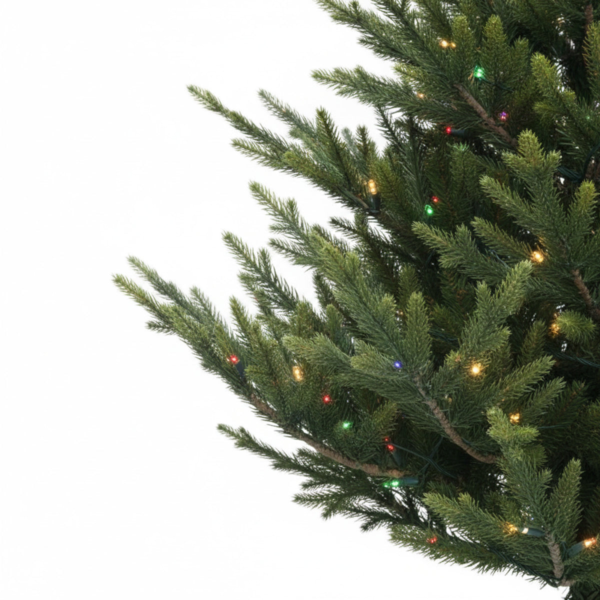 Norway Spruce Christmas Tree