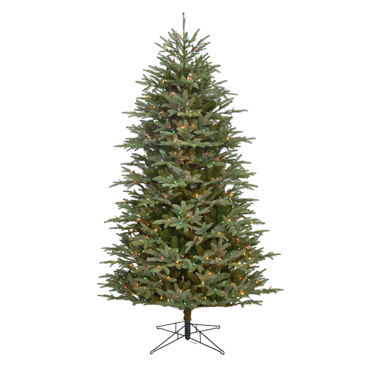 Grand Fraser Fir Christmas Tree