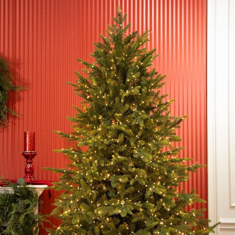 King Pine Christmas Tree