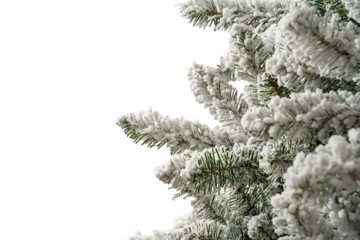 Flocked King Pine Christmas Tree
