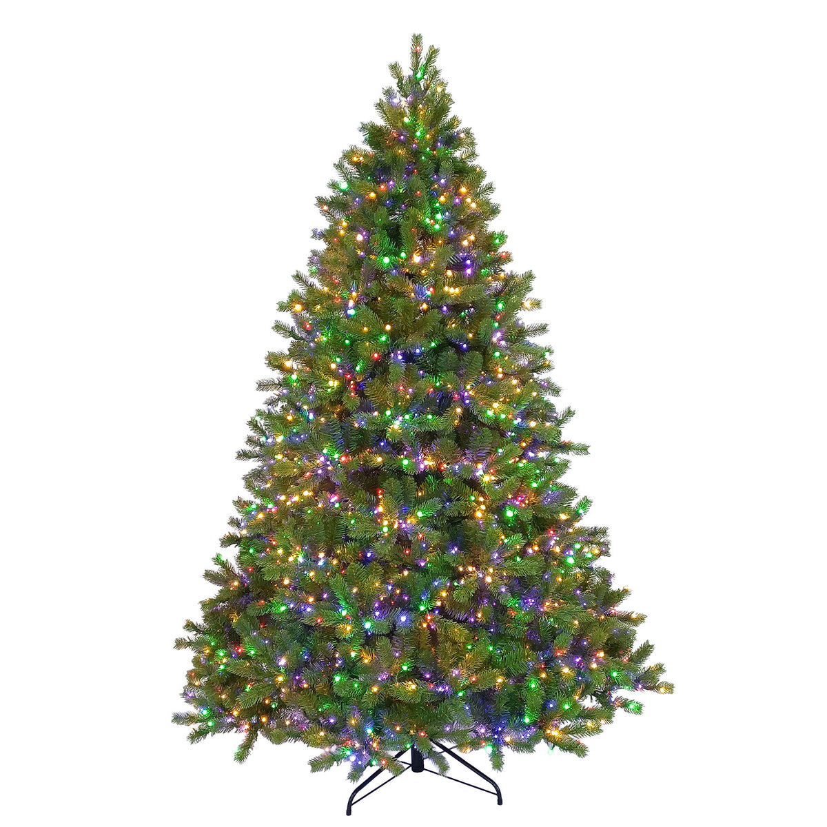 Colorado Fir Full Christmas Tree