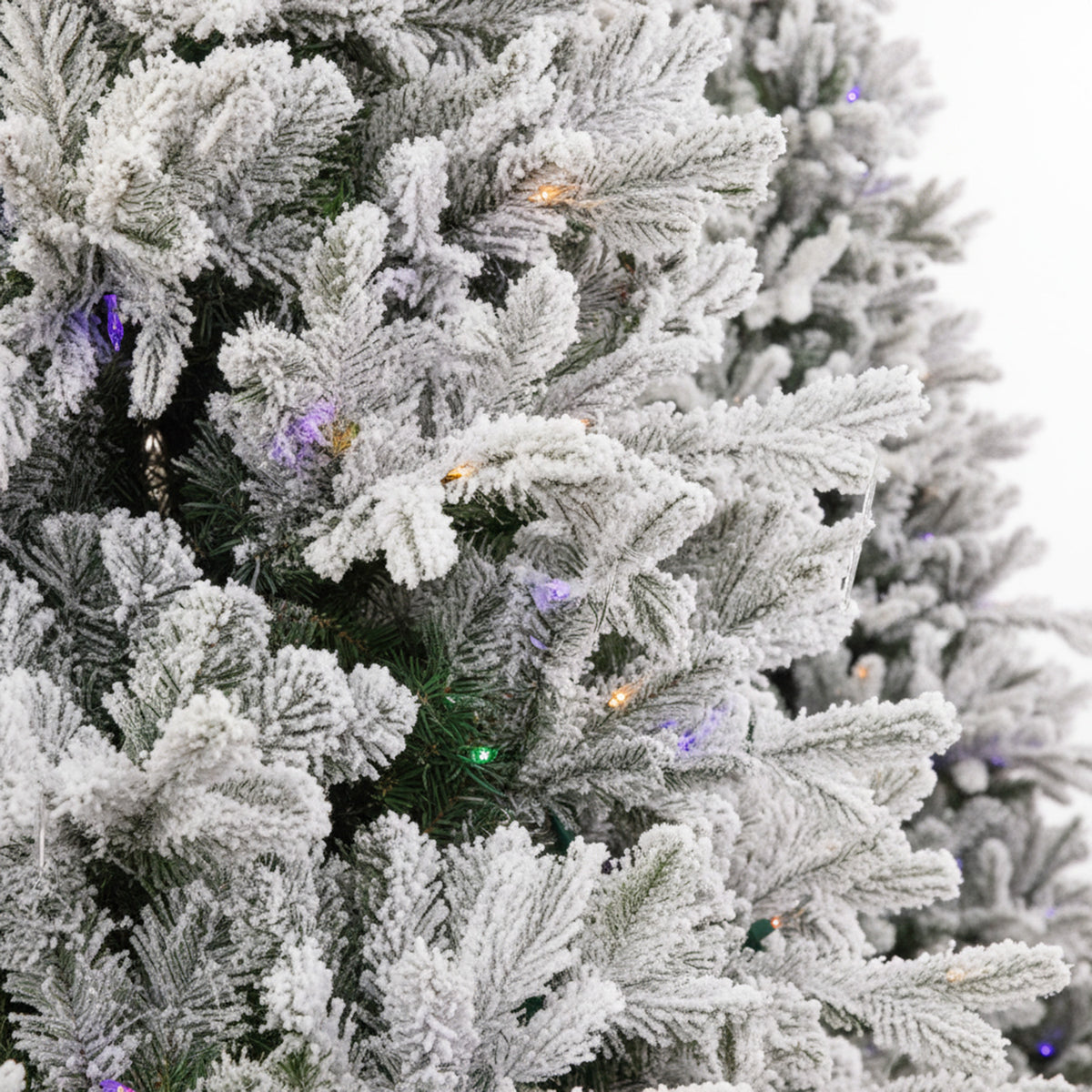 Snowy Casselton Fir Christmas Tree