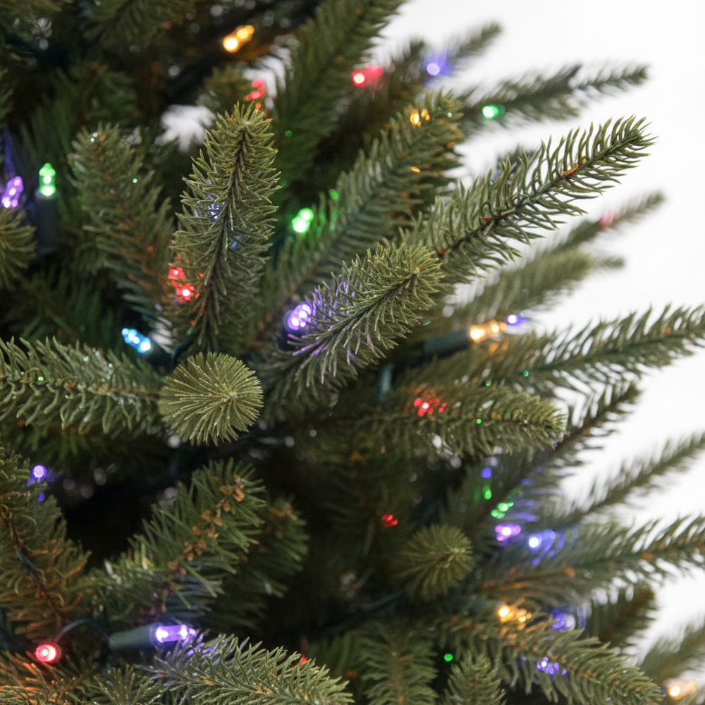 Frasier Grande Christmas Tree