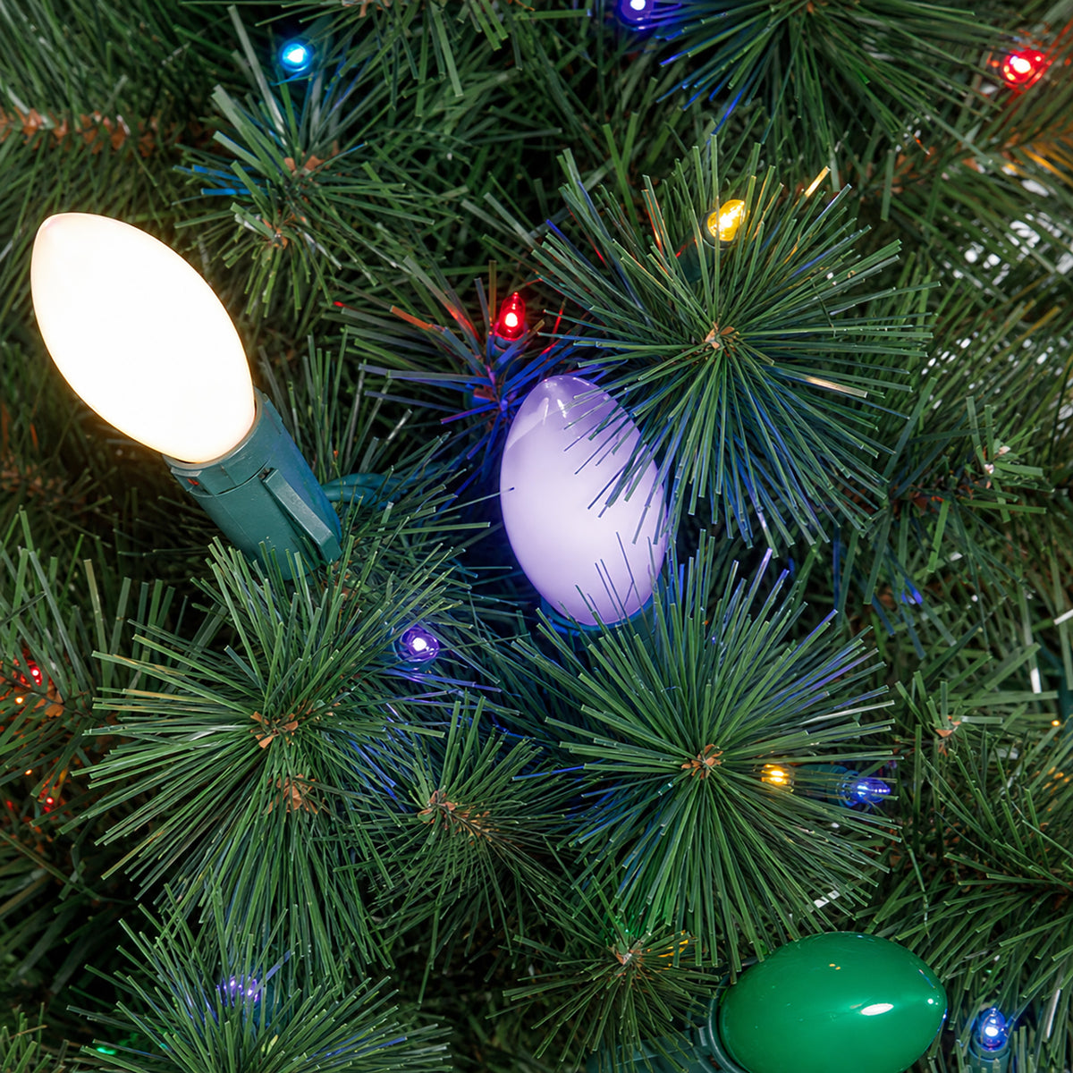 Douglas Fir Christmas Tree