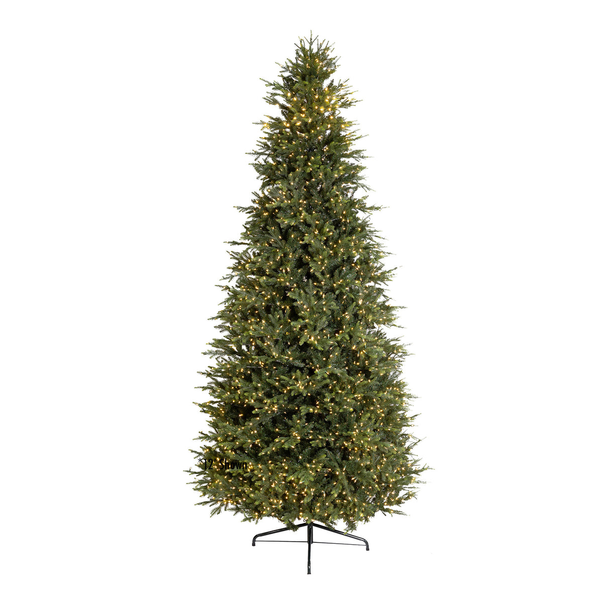 King Pine Christmas Tree