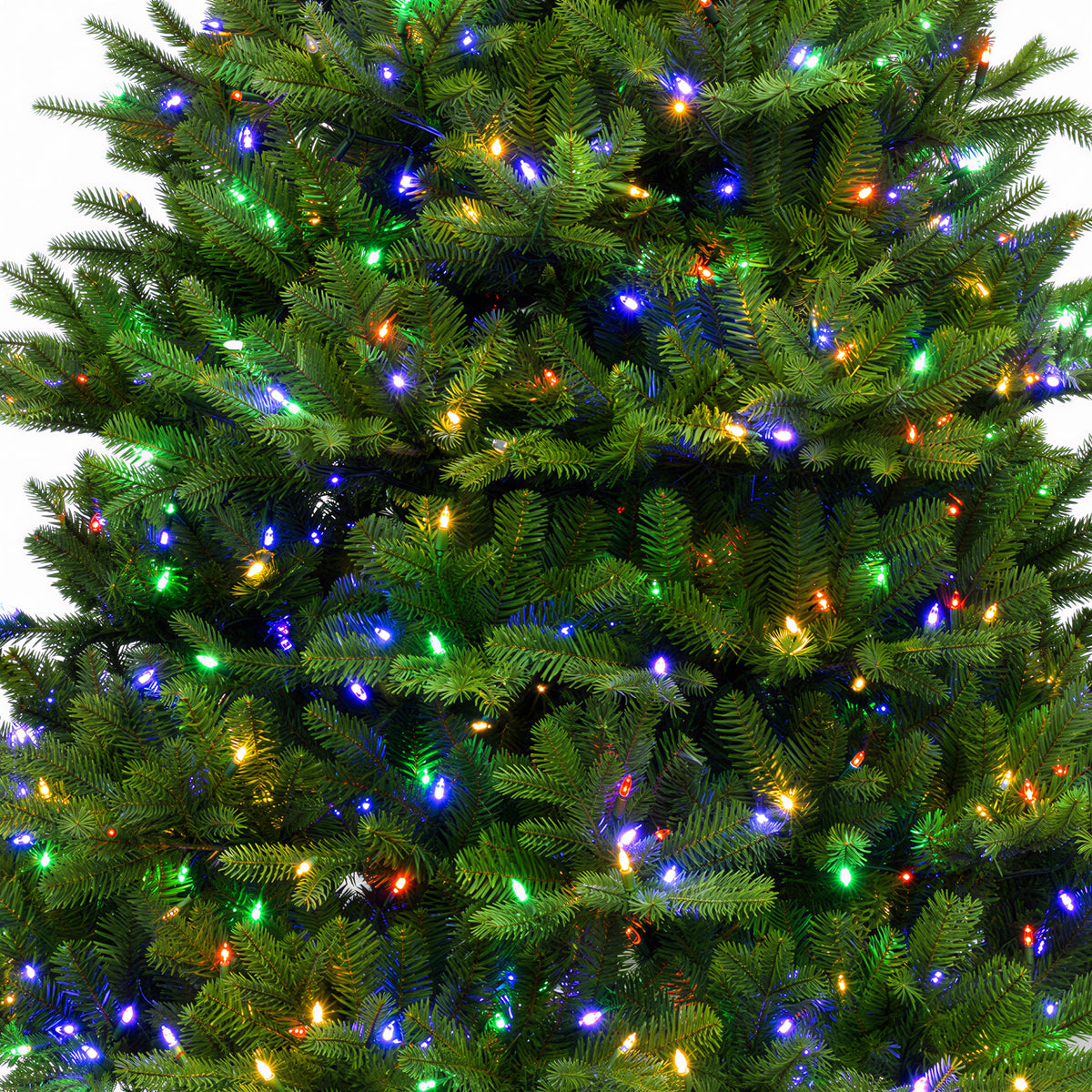 Balsam Fir Christmas Tree