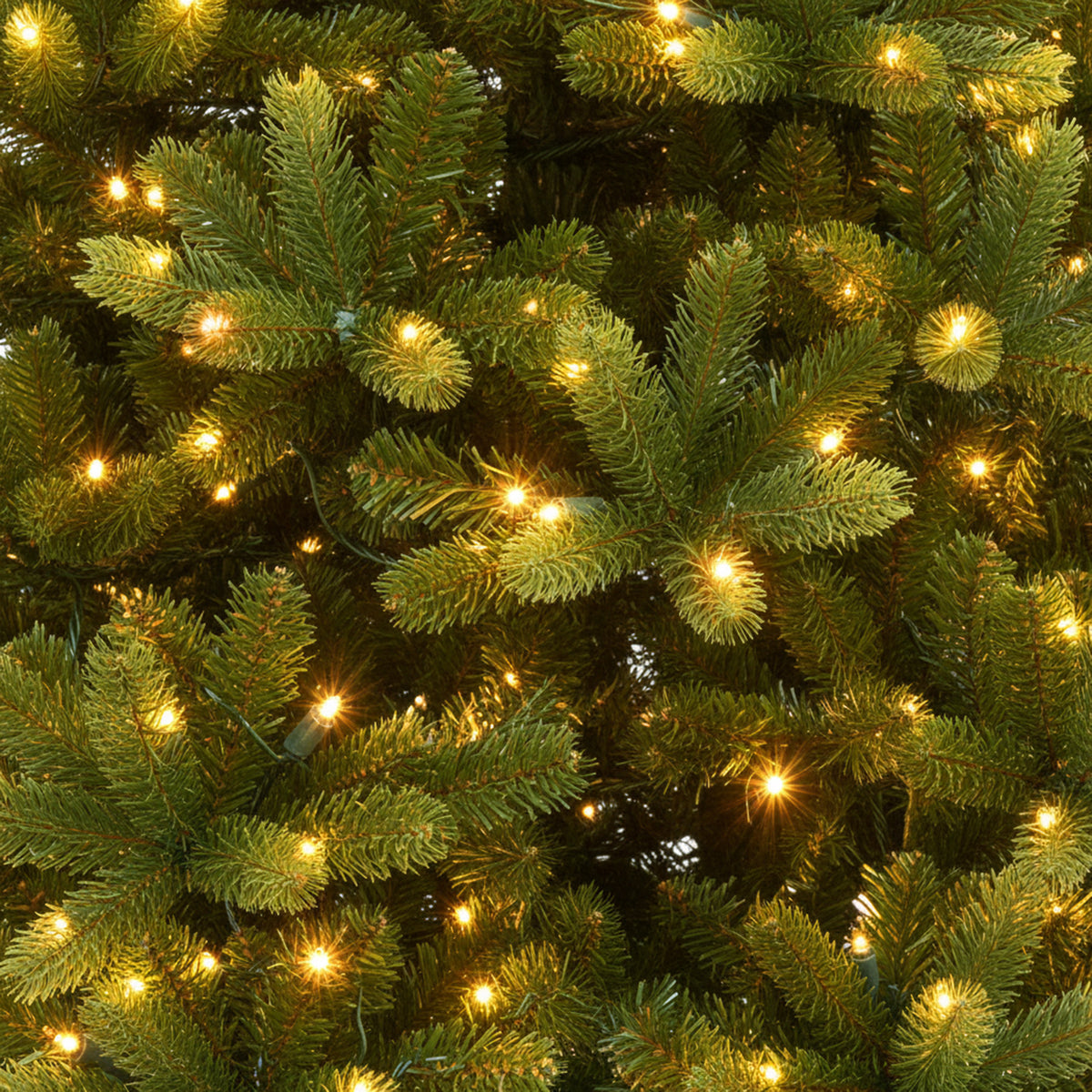 Grand Illum Christmas Tree