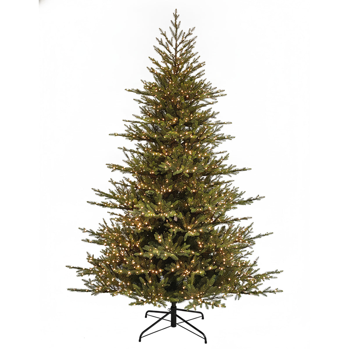 Starry Light Northern Fraser Christmas Tree