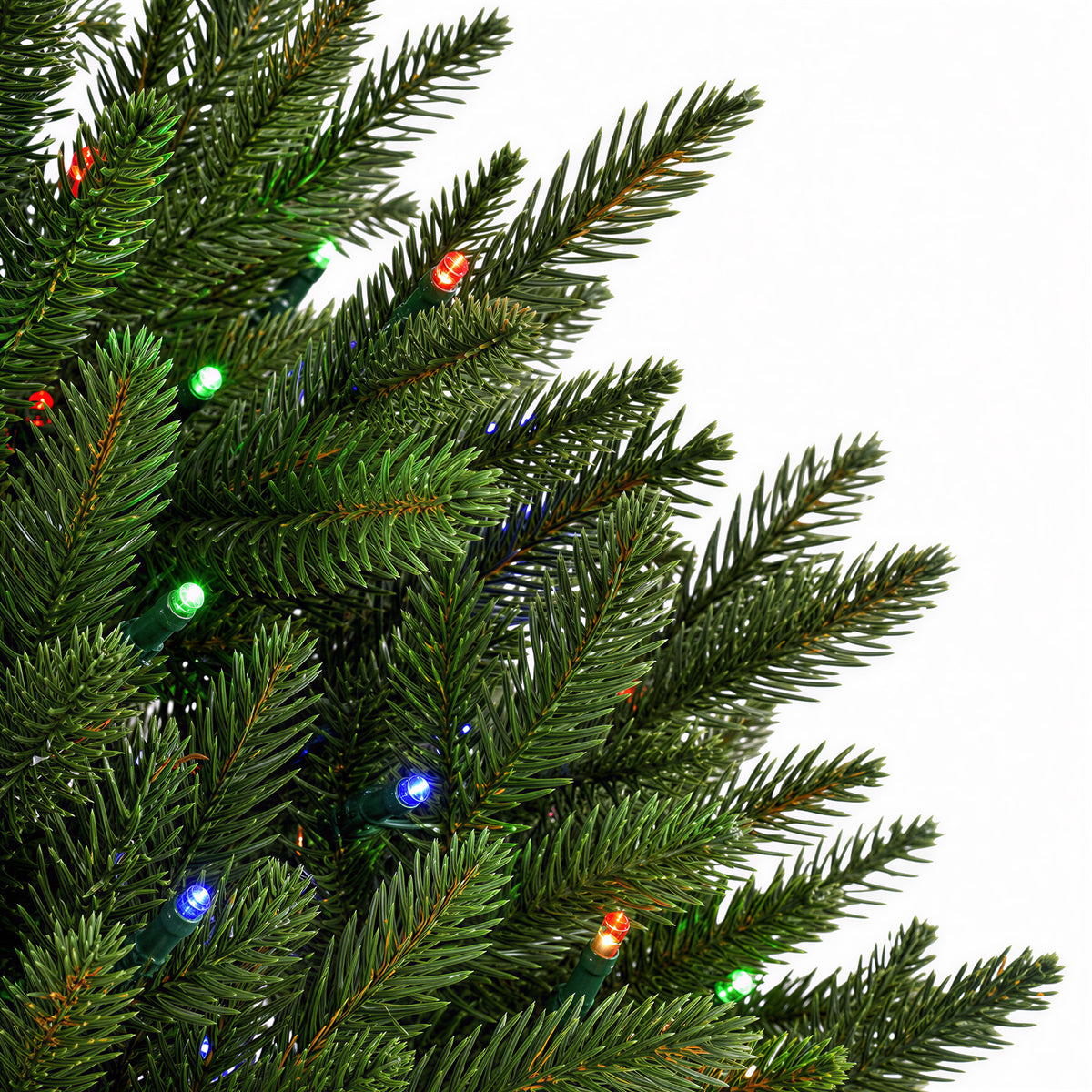Fraser Fir Christmas Tree