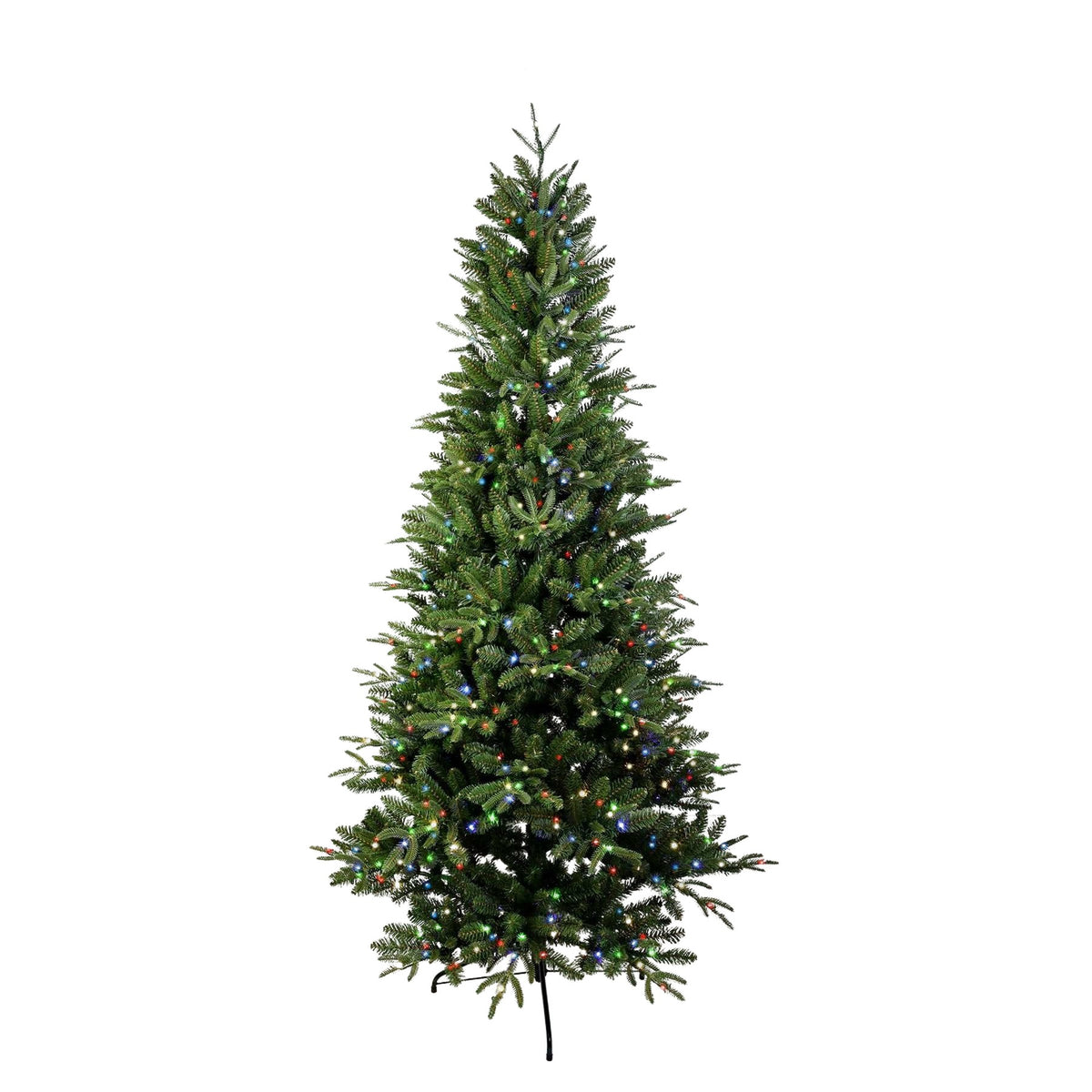 Fraser Fir Christmas Tree