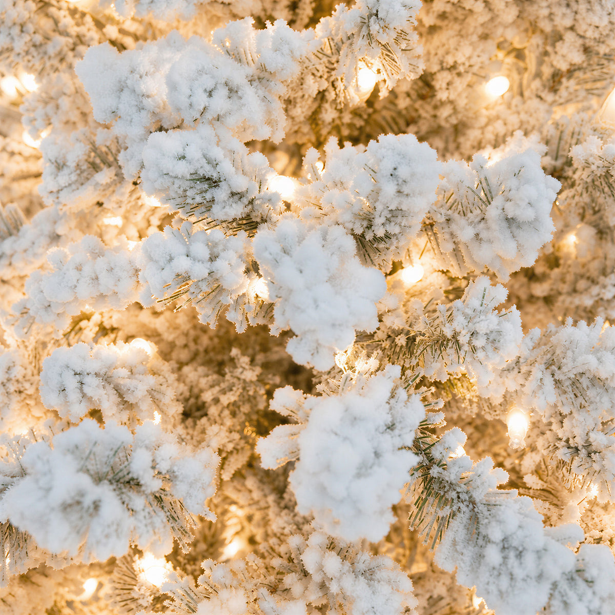 Flocked Slim Brighton Christmas Tree