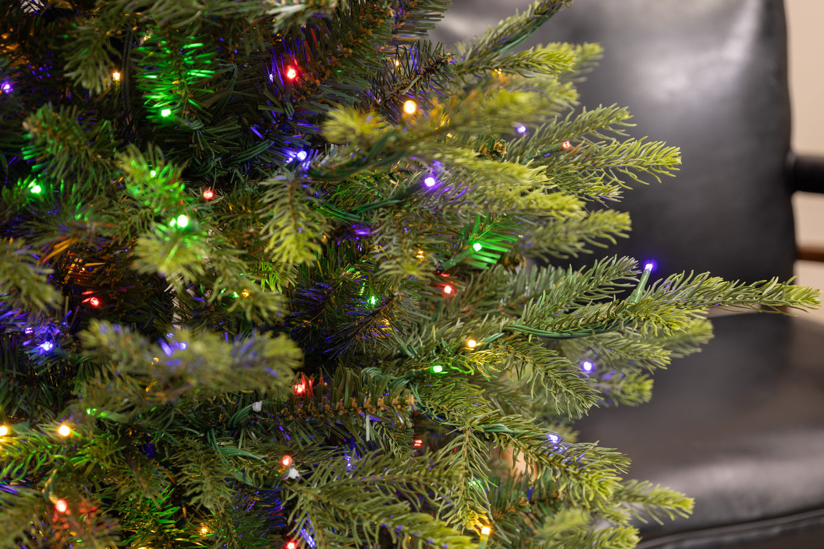 Pencil King Pine Christmas Tree
