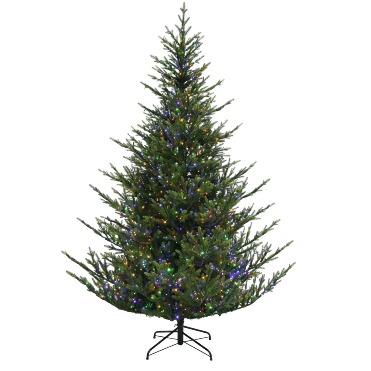 Norway Spruce Christmas Tree