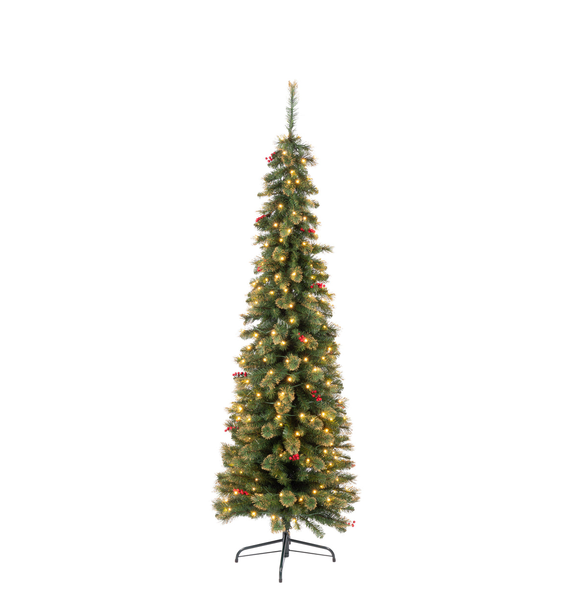 Wichita Christmas Tree