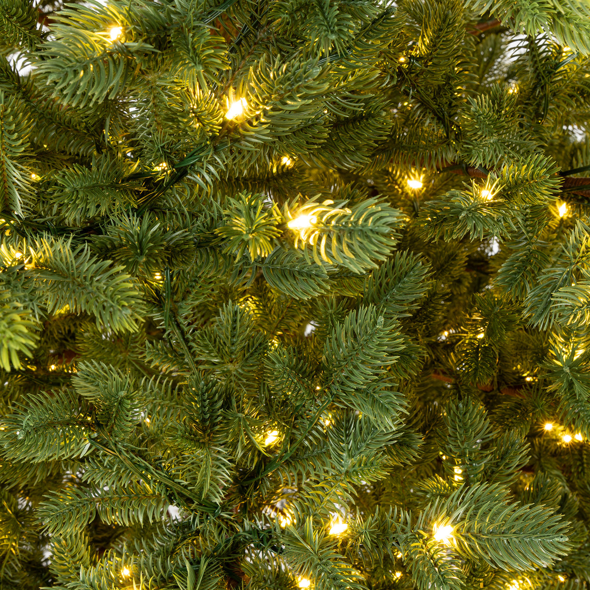 Balsam Cascade Fir Christmas Tree