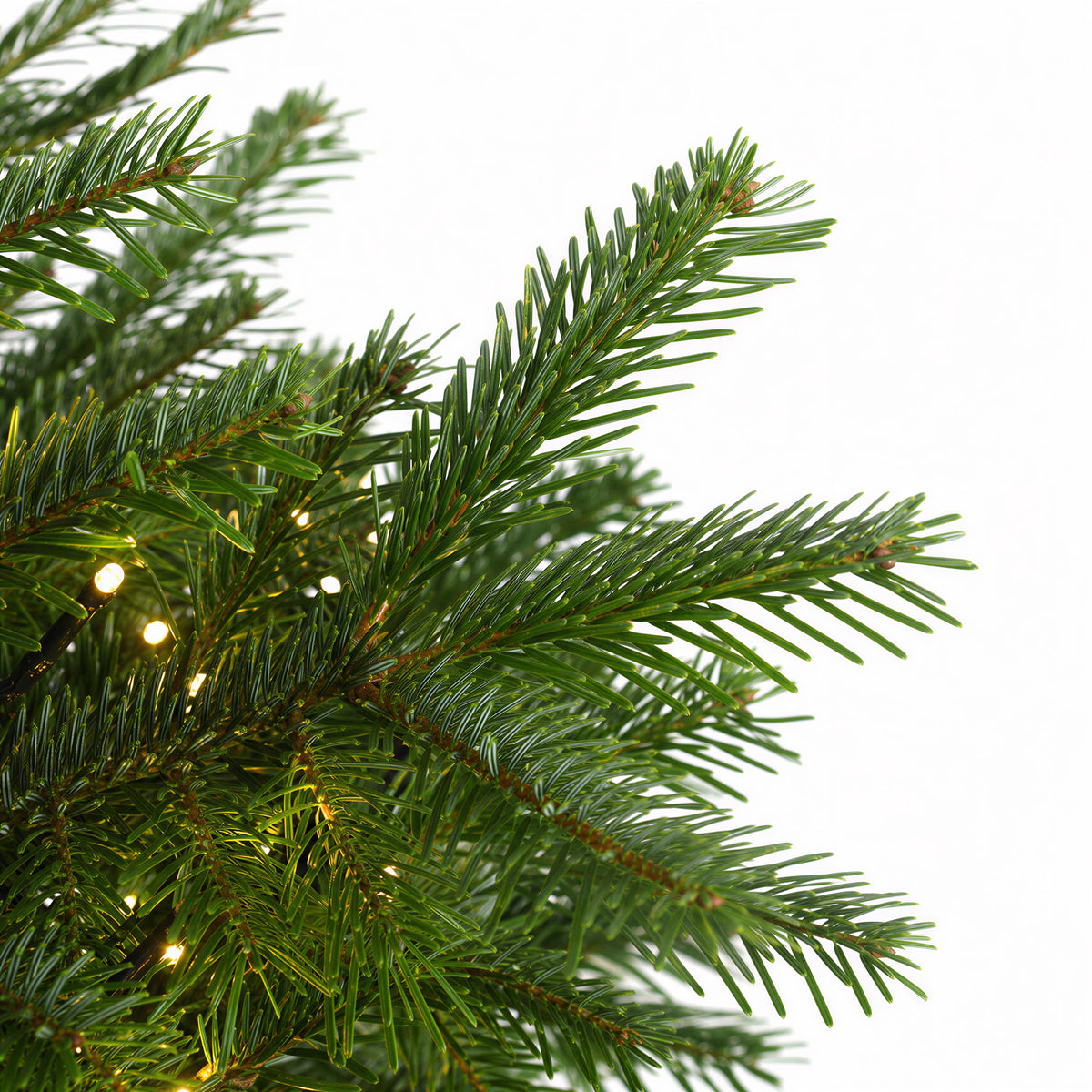 Deluxe Cypress Norfolk Christmas Tree