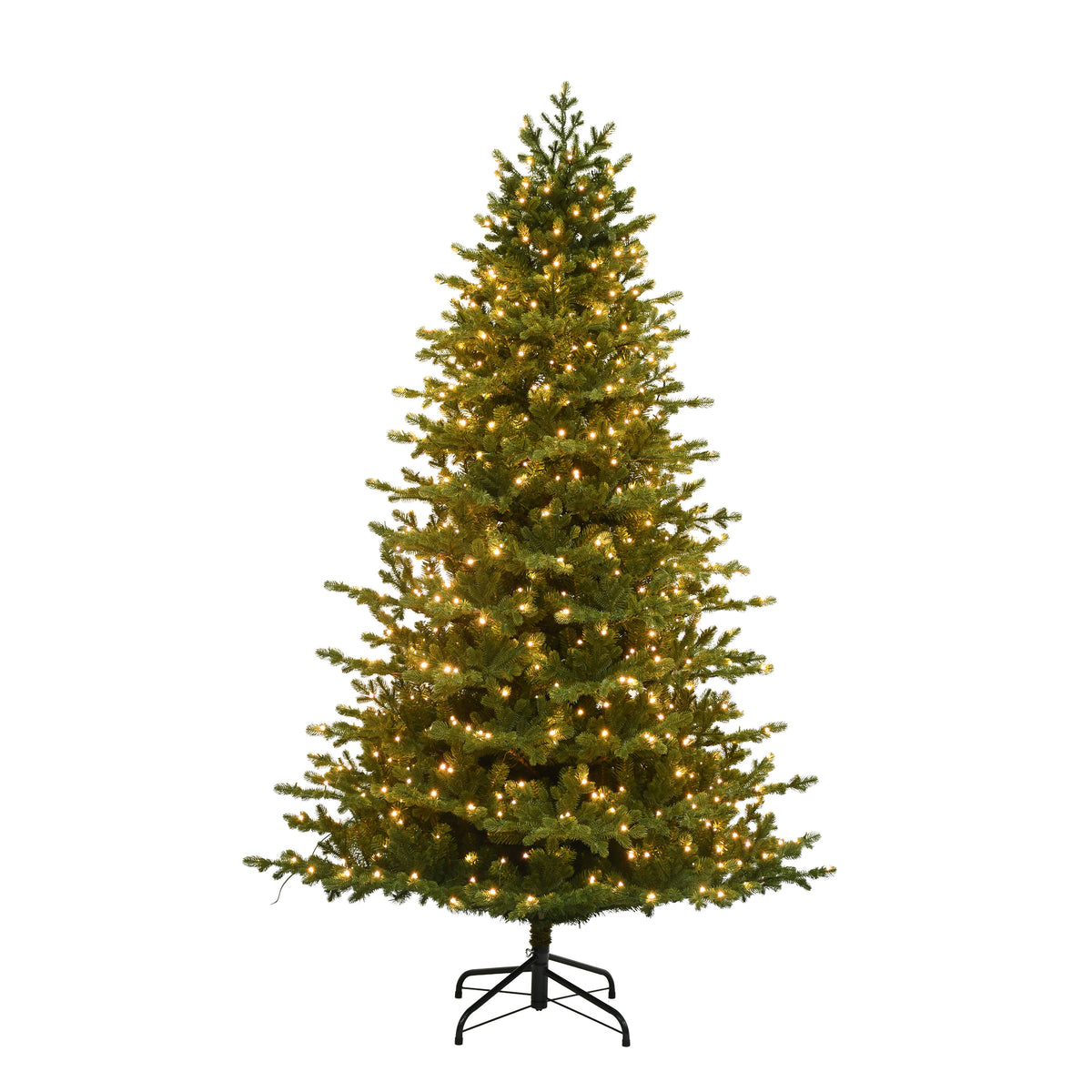 Northern Balsam Fir Christmas Tree