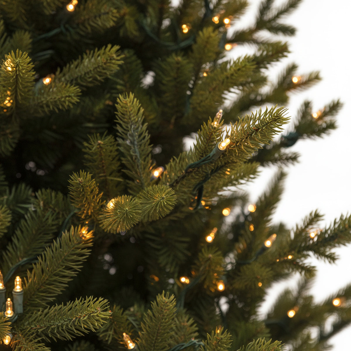 Ashton Pine Full Christmas Tree