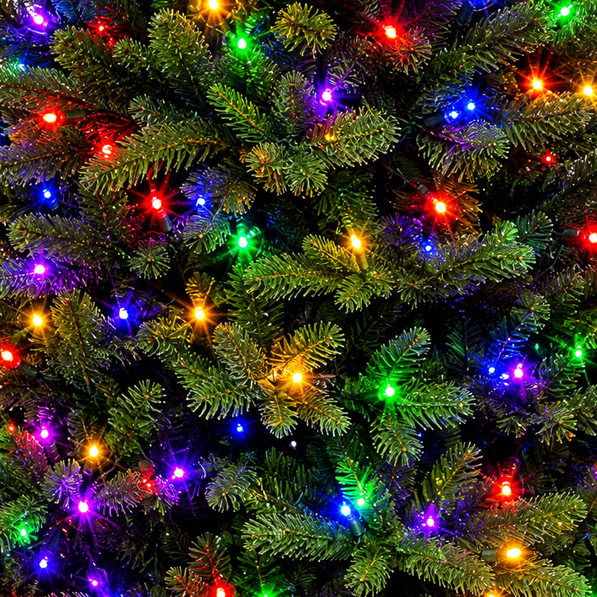 American Pine Christmas Tree