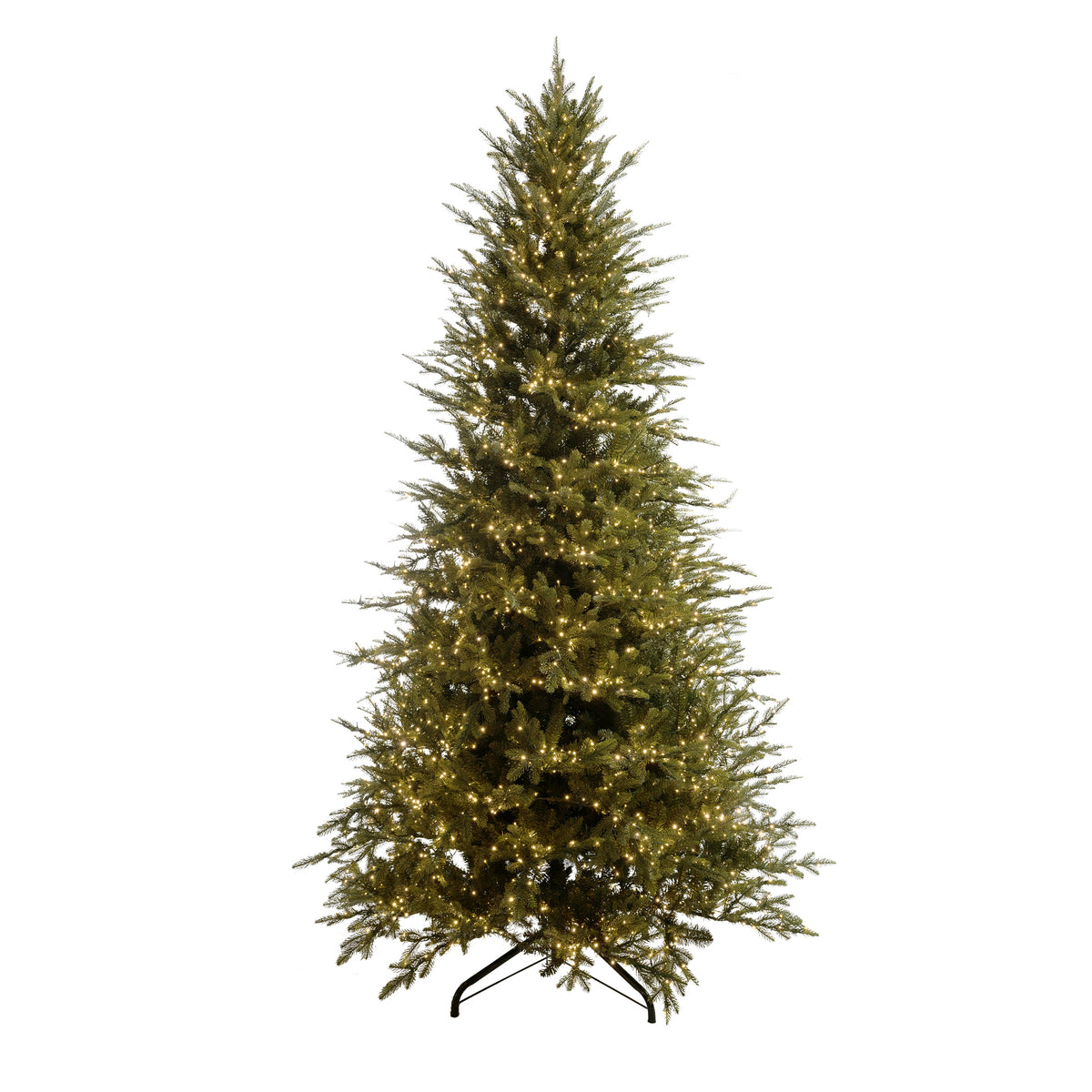King Pine Christmas Tree