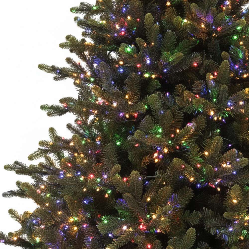 Swiss Mountain Spruce Christmas Tree