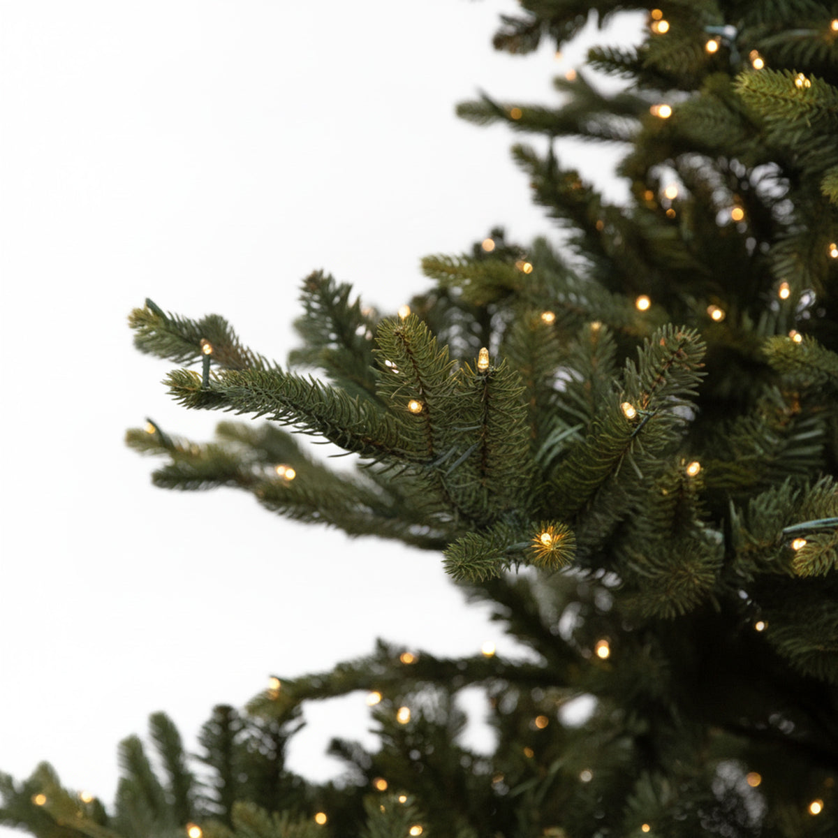 Layered Montana Christmas Tree
