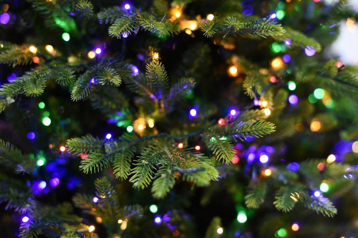 Deluxe King Pine Christmas Tree