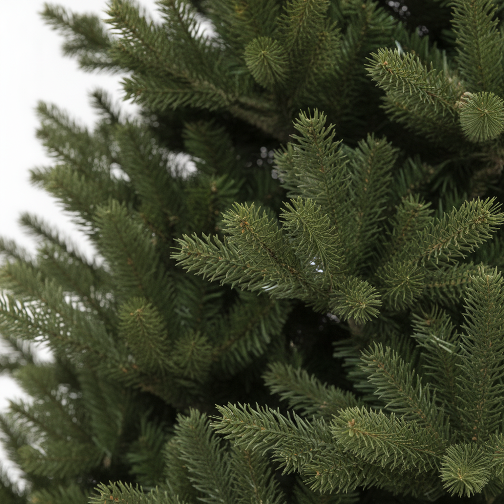 Unlit Ashton Pine Christmas Tree