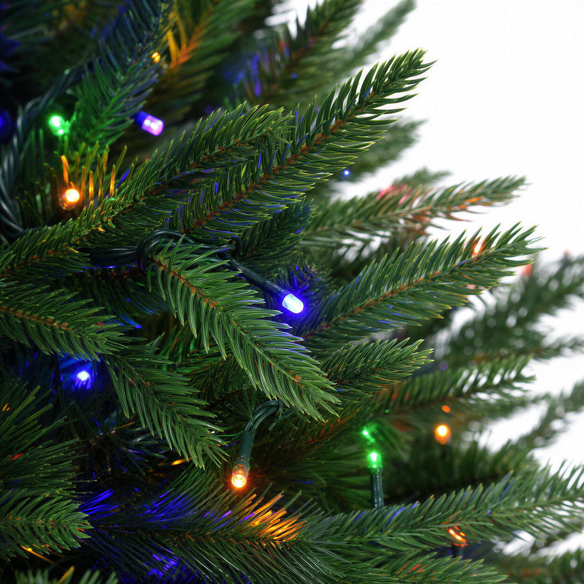 Sparkle Carolina Fraser Christmas Tree