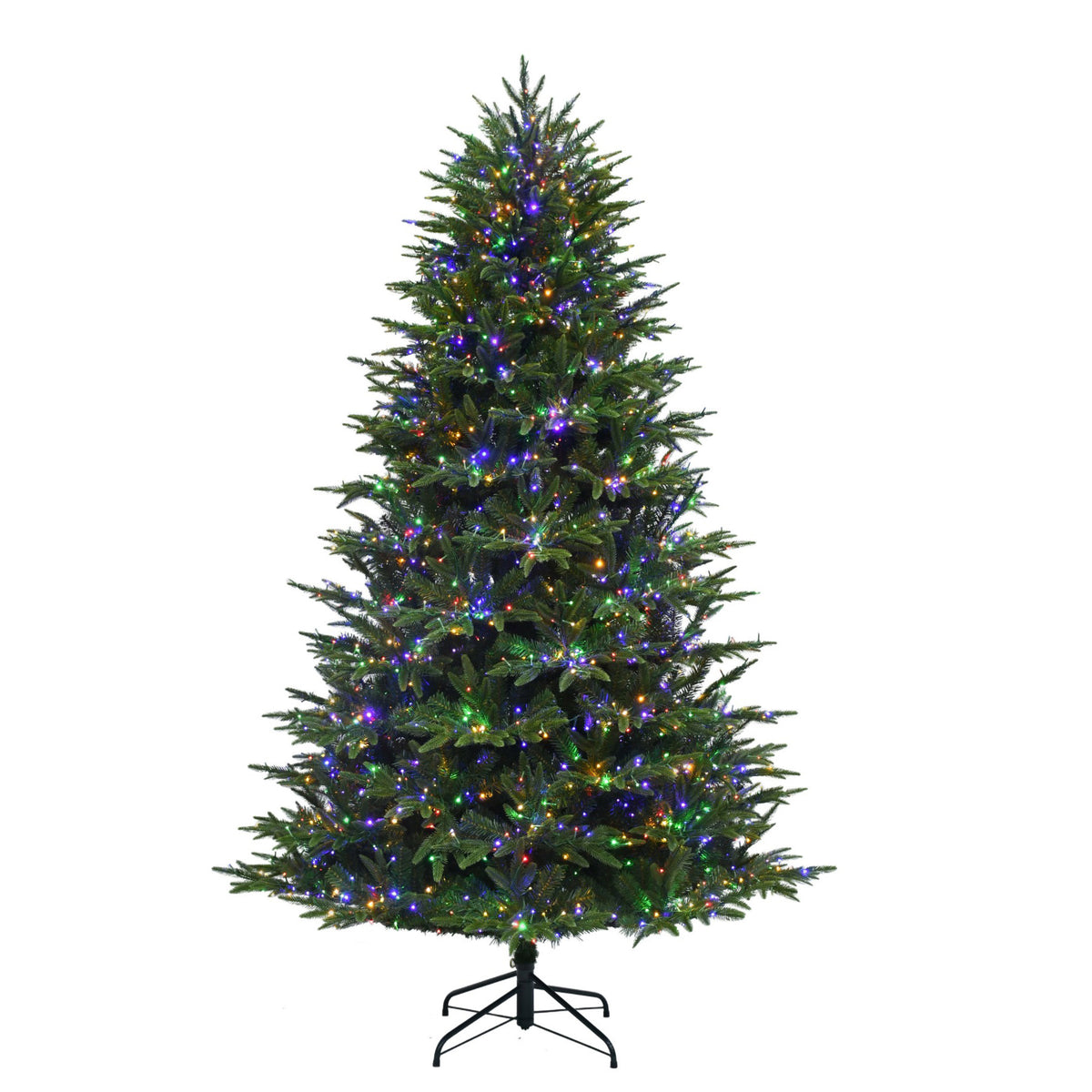 Sparkle Carolina Fraser Christmas Tree