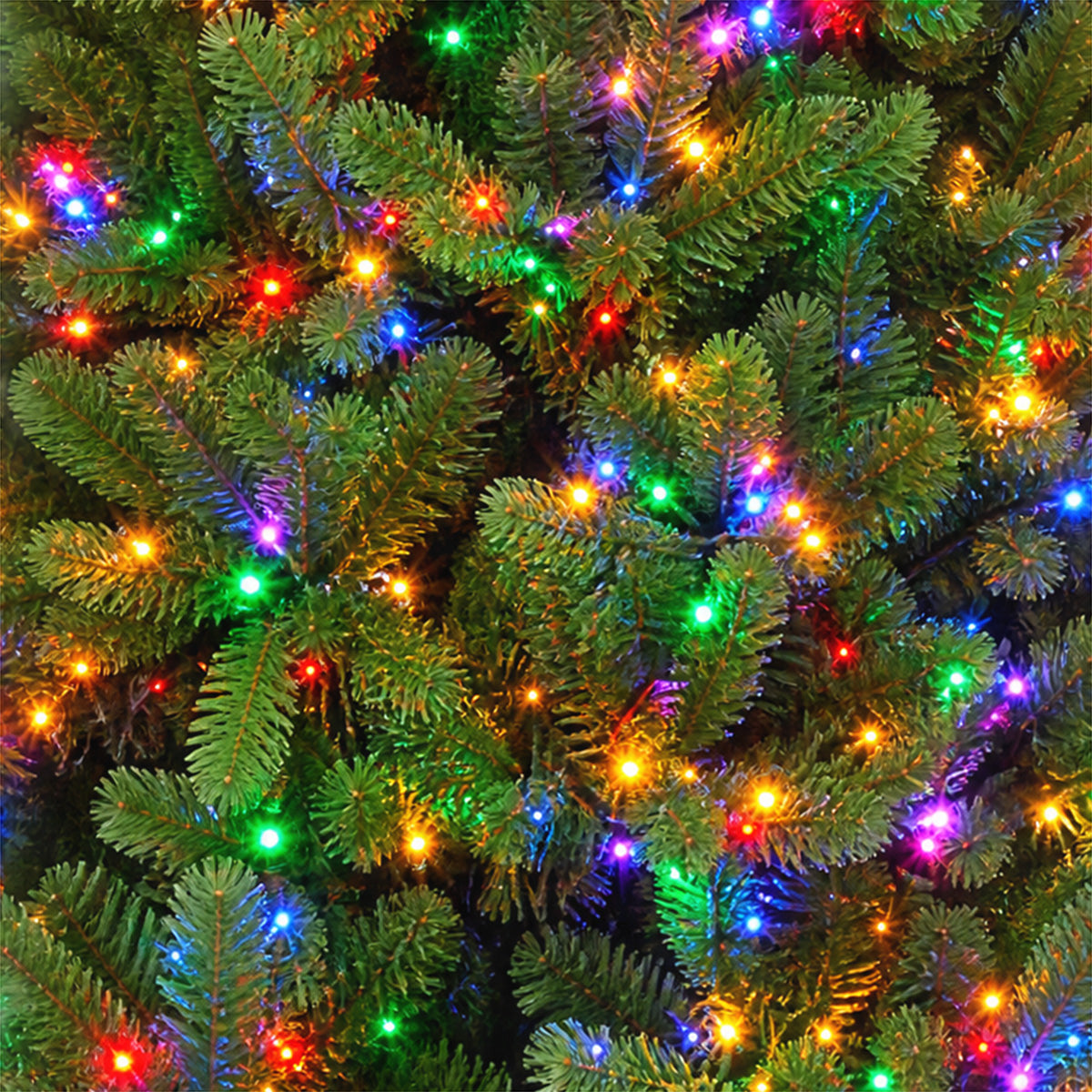 Colorado Fir Slim Christmas Tree