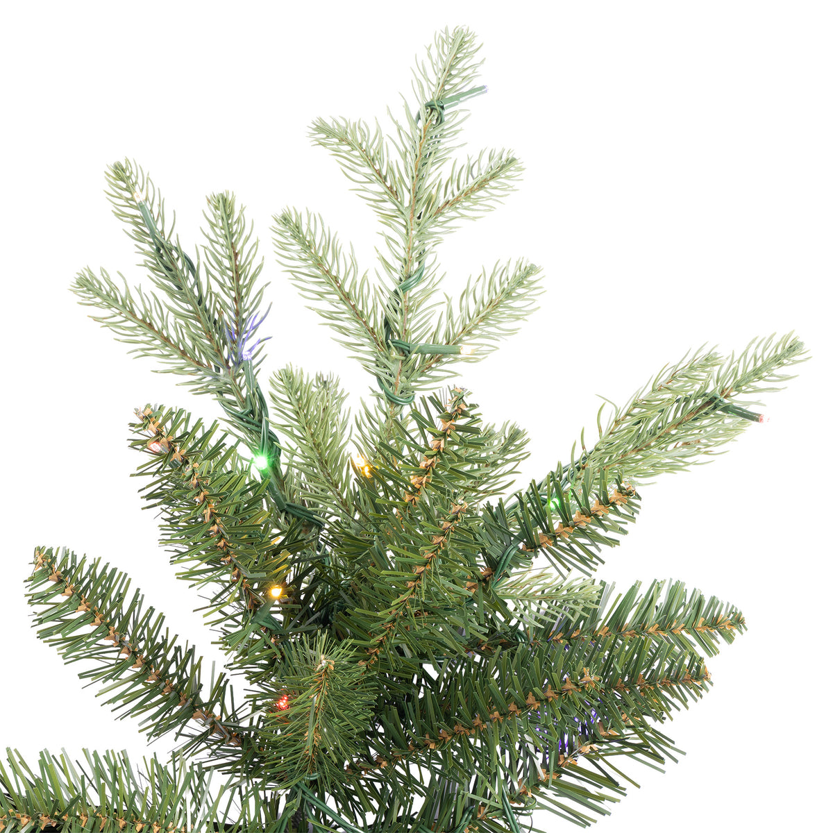 Mid King Pine Christmas Tree