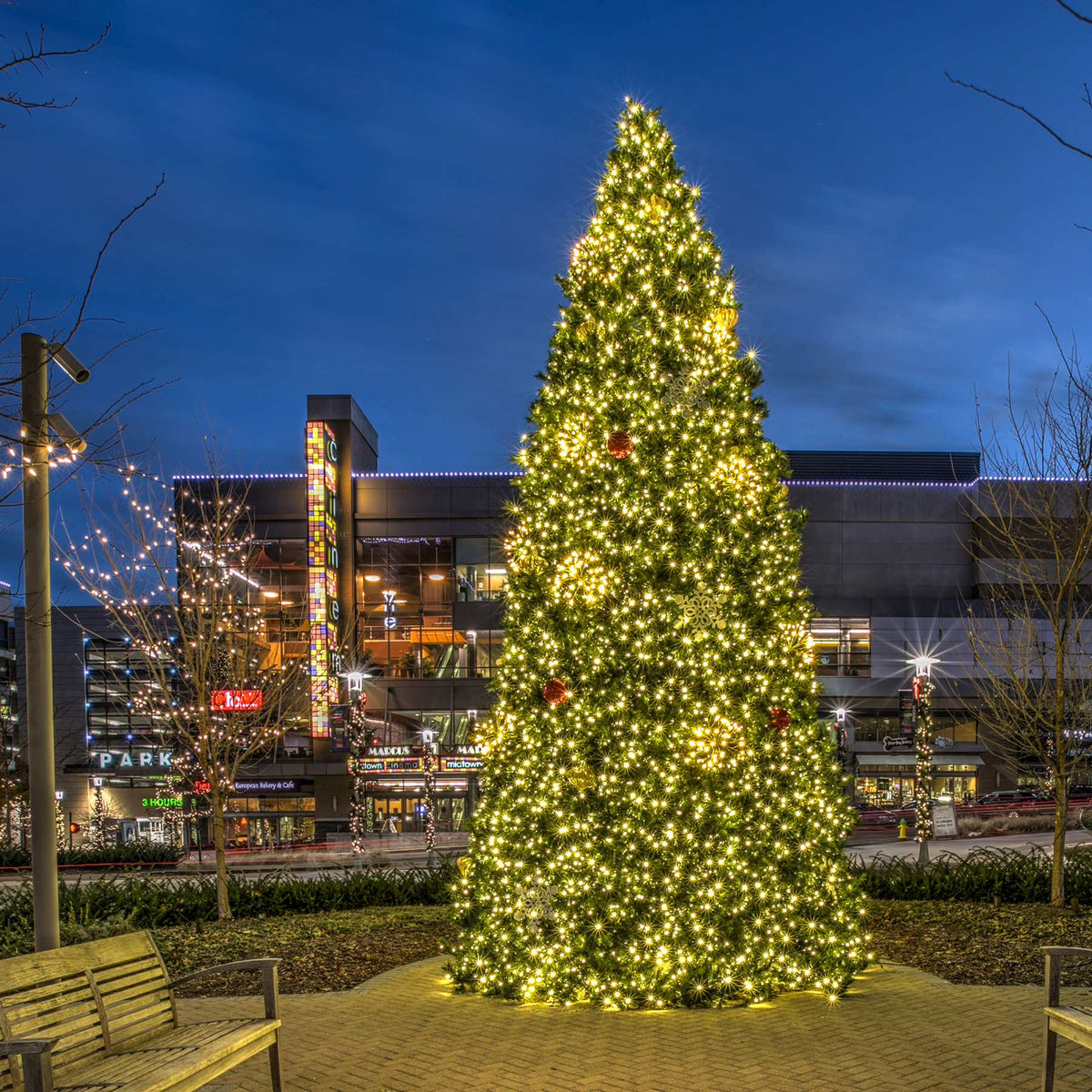 Commercial Tower Tree