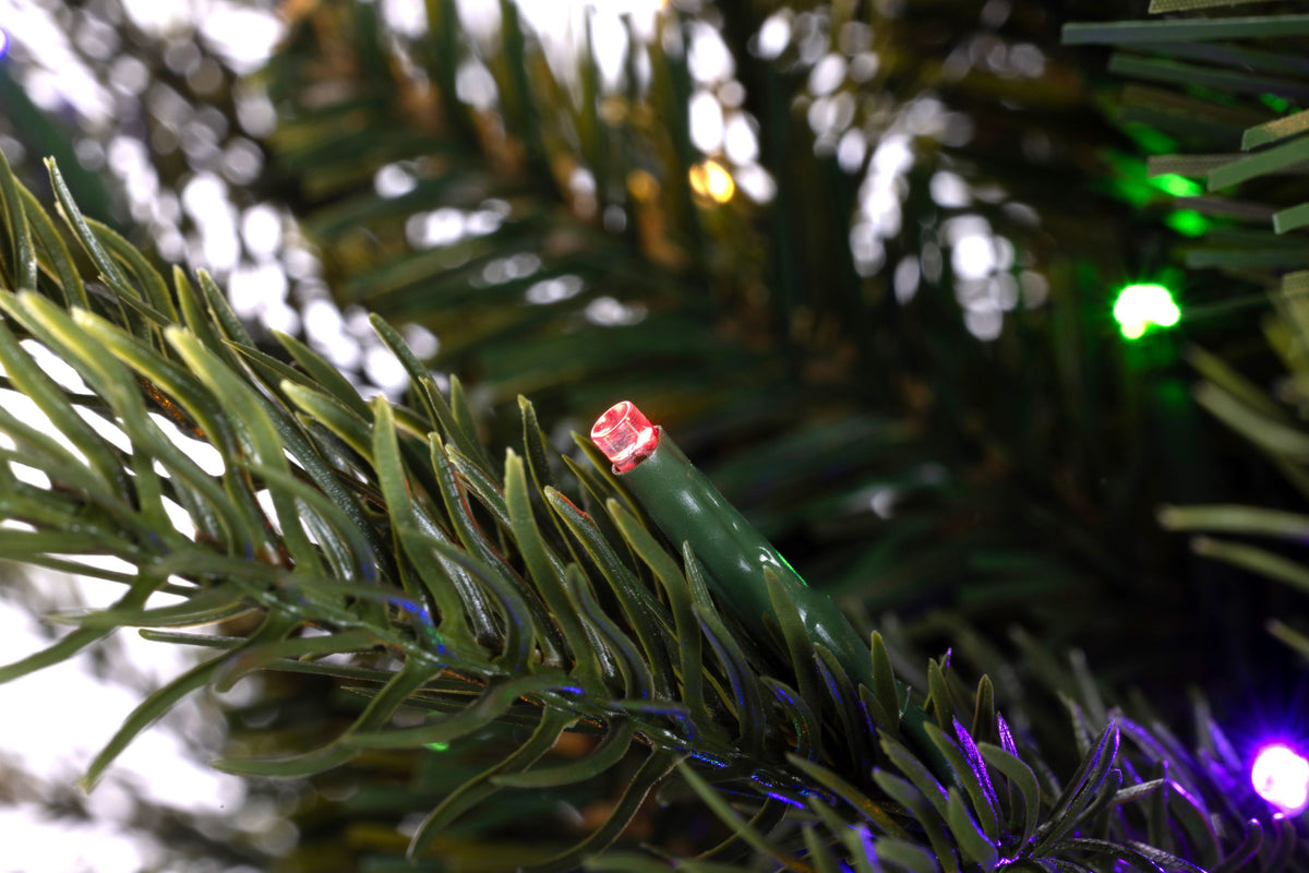 King Pine Pencil Christmas Tree