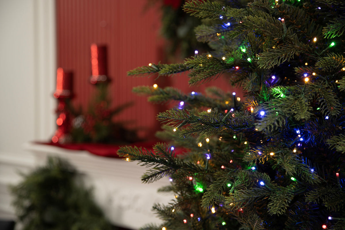 King Pine Christmas Tree