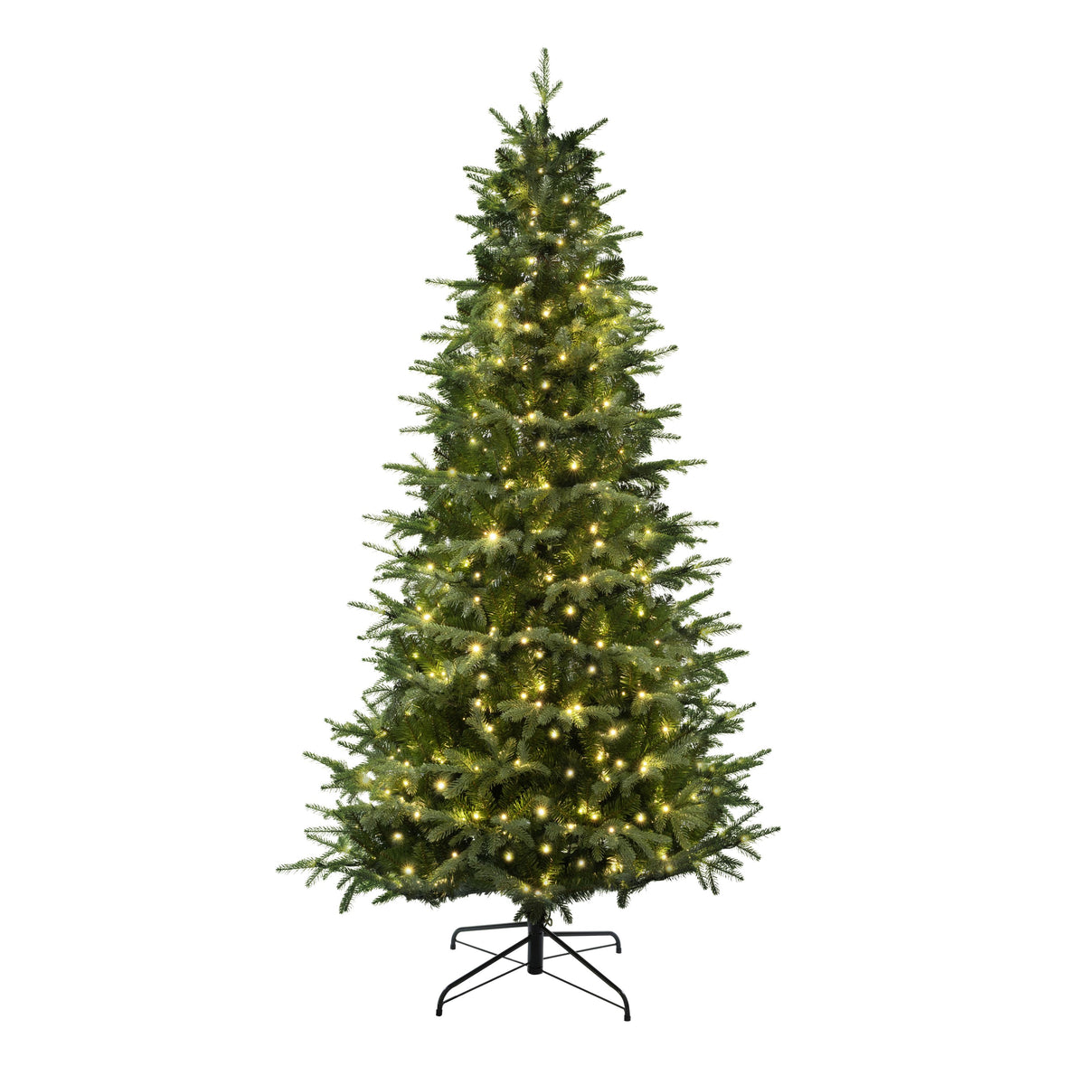 Casselton Christmas Tree