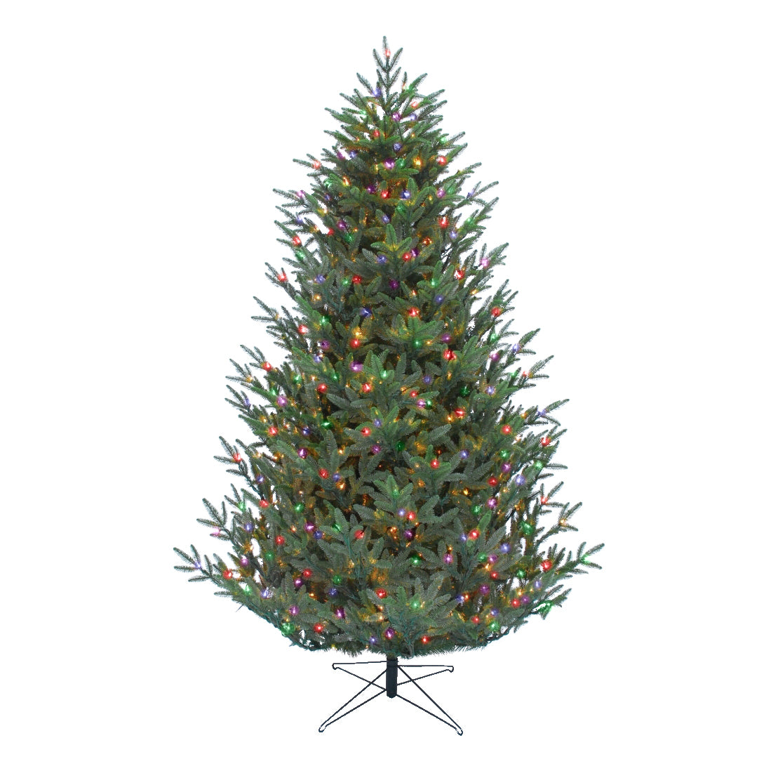 Carolina Fraser Christmas Tree