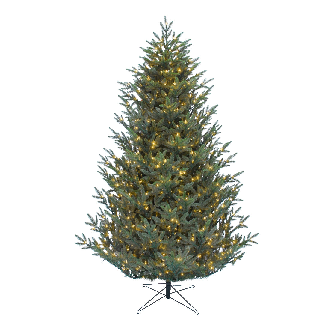 Carolina Fraser Christmas Tree